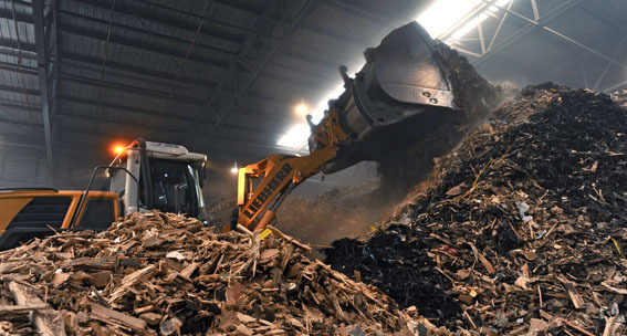 110726 SGF 8946 TW web