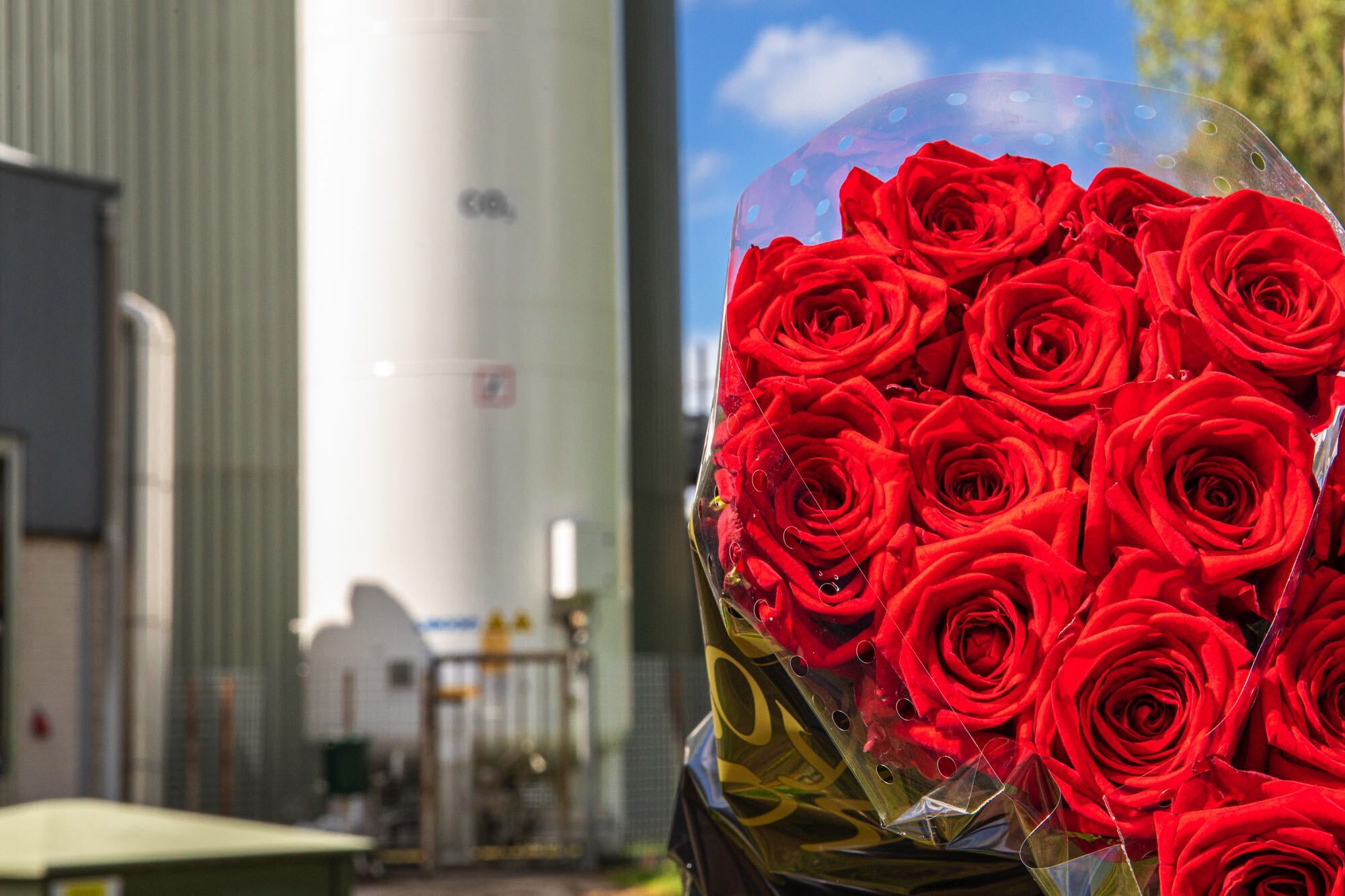 CO2 afvangen glastuinbouw Twence thumb