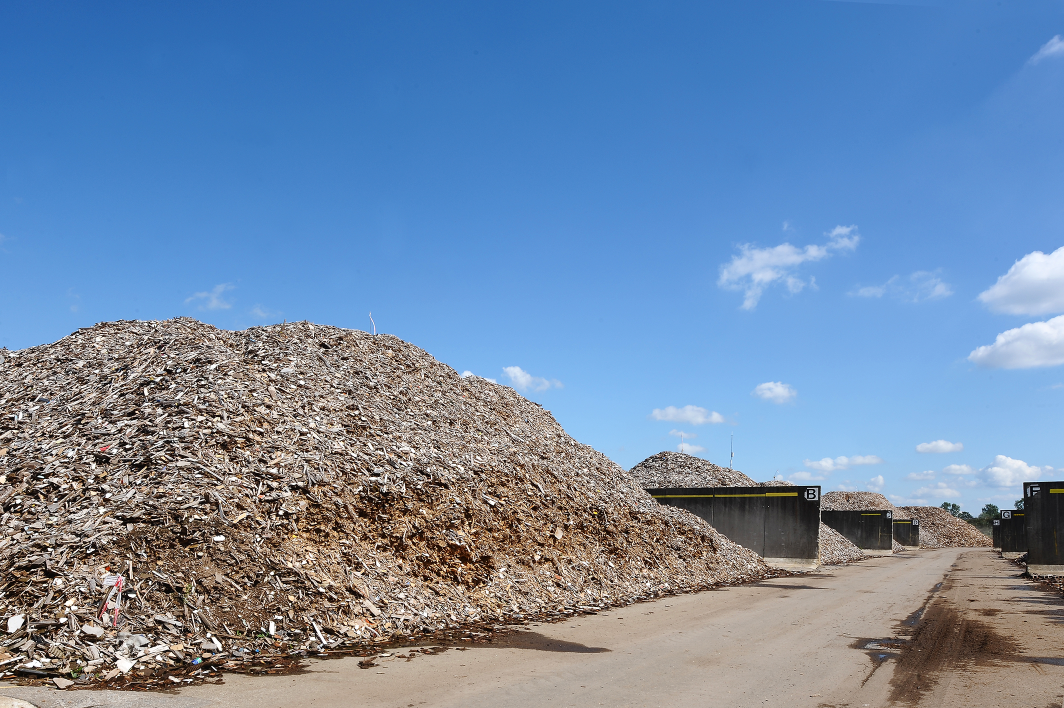 SGF 3507 TW Biomassa Hout ls