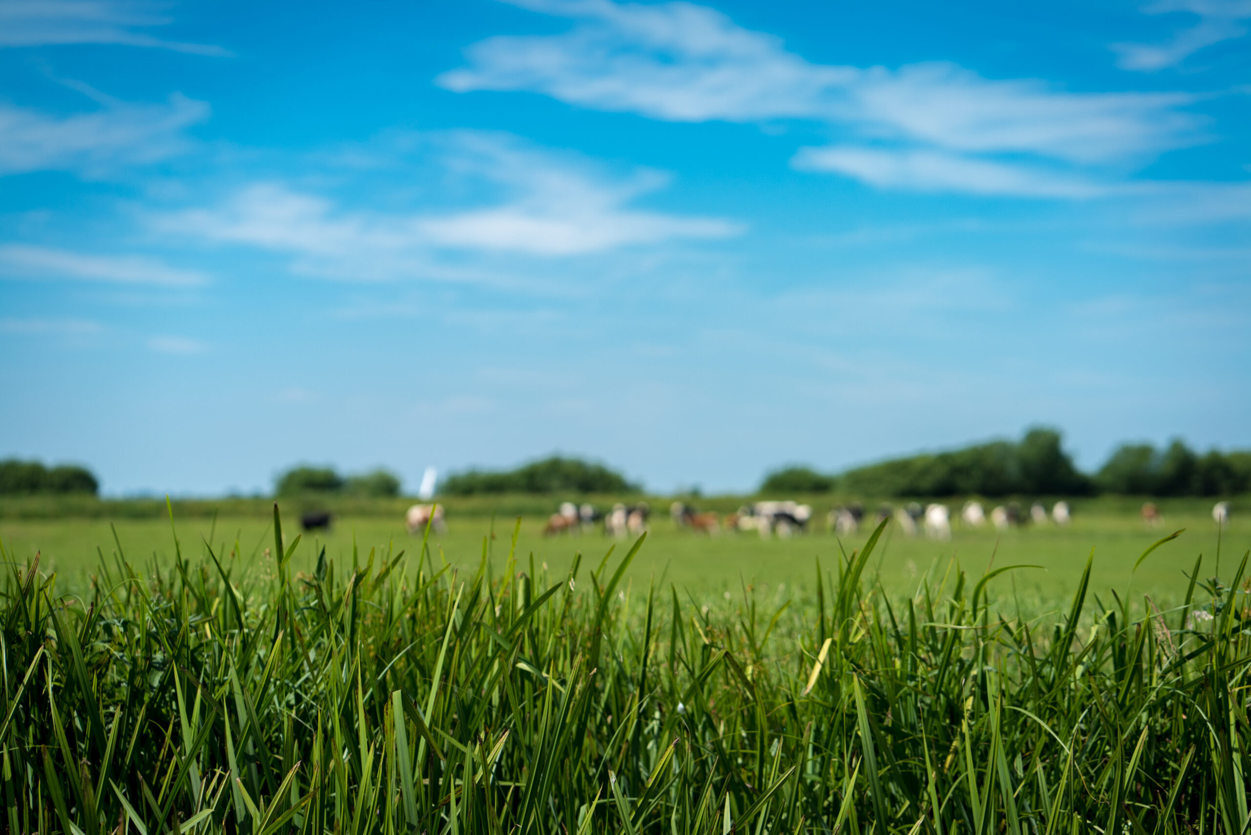 Landbouw composteren en vergisten