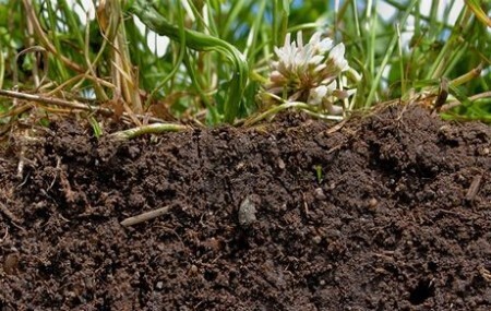 Mineral valley twence 02