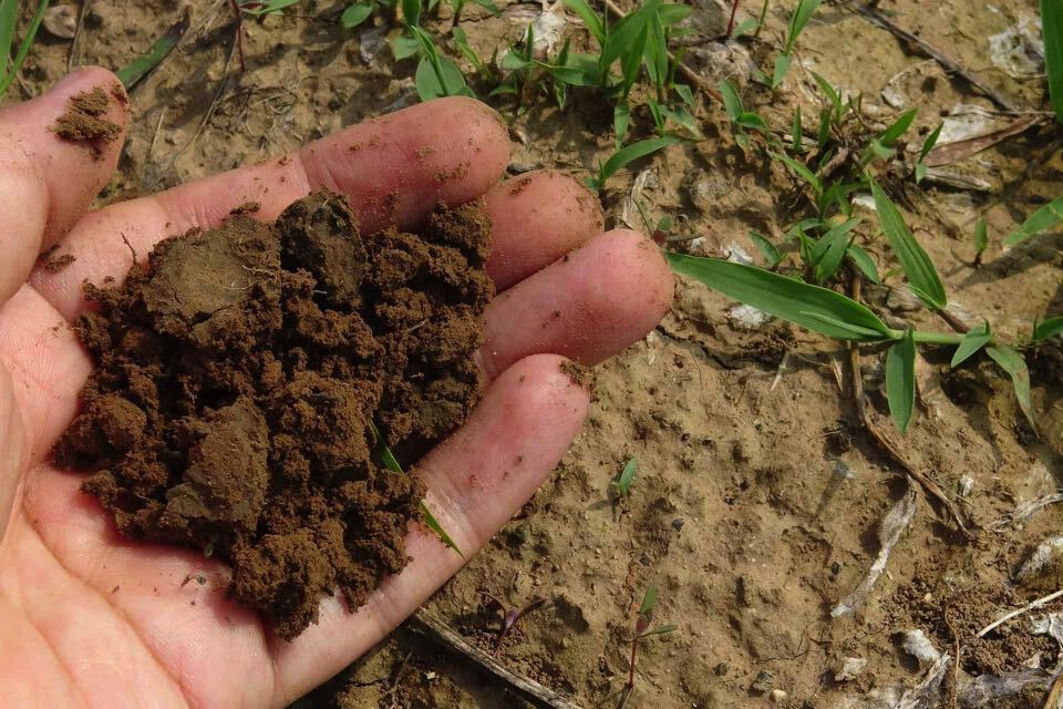 Proeftuin keurcompost Twence thumb